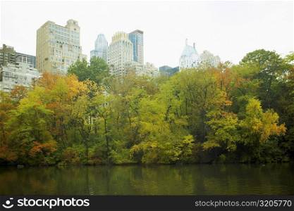 Trees in front of buildings, Central Park, Manhattan, New York City, New York State, USA
