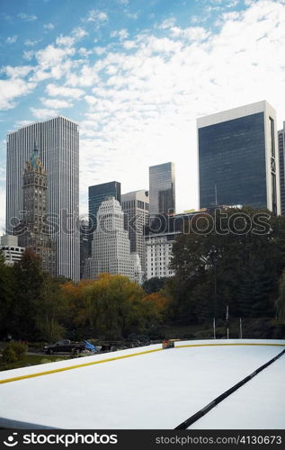 Trees in front of buildings, Central Park, Manhattan, New York City, New York State, USA