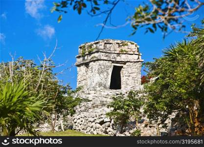 Trees in front of old ruins of a building, Zona Arqueologica De Tulum, Cancun, Quintana Roo, Mexico