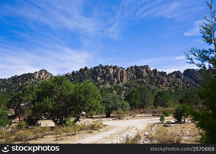 Trees in front of rock formations, Sierra De Organos, Sombrerete, Zacatecas State, Mexico