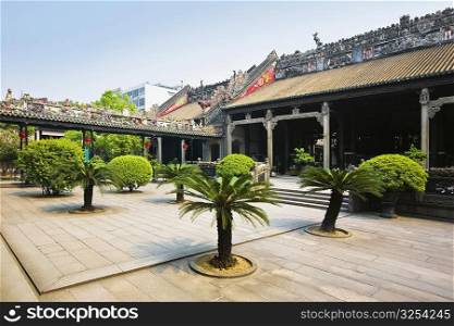 Trees in the courtyard of an academy, Chen Clan Academy, Guangzhou, Guangdong Province, China