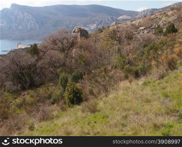 Trees in the Crimean mountains