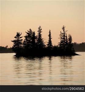 Trees in the middle of a lake, Lake of the Woods, Ontario, Canada