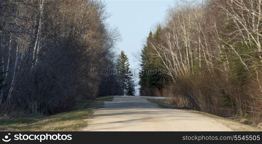 Trees lined road, Hecla Grindstone Provincial Park, Manitoba, Canada
