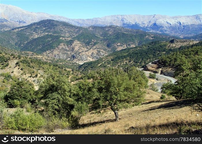 Trees, mountain and asphalt road in Turkey