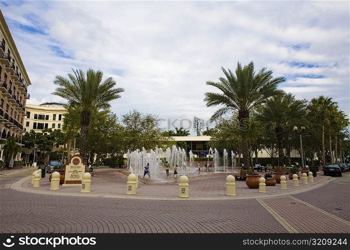 Trees near a fountain, West Palm Beach, Florida, USA