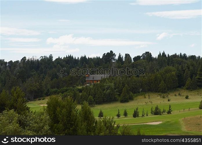 Trees on a landscape, San Carlos De Bariloche, Argentina