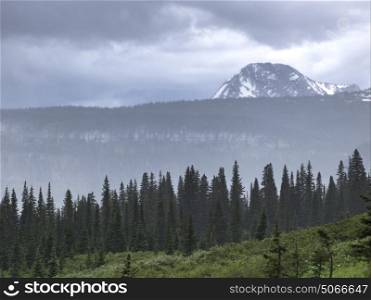 Trees on a landscape with mountain range in the background, Going-to-the-Sun Road, Glacier National Park, Glacier County, Montana, USA
