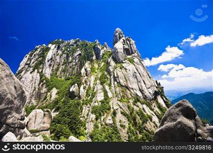 Trees on a mountain, Huangshan Mountains, Anhui Province, China