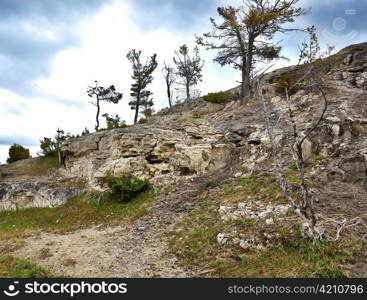 trees on a rocky mountain