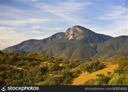 Trees on a rolling landscape with a mountain in the background, Hierve El Agua, Oaxaca, Oaxaca State, Mexico