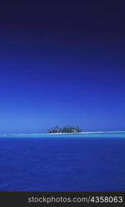 Trees on an island in the sea, Hawaii, USA