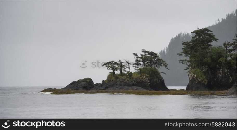 Trees on an island, Skeena-Queen Charlotte Regional District, Haida Gwaii, Graham Island, British Columbia, Canada