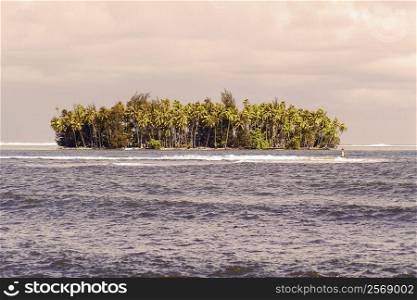 Trees on an island, Tahiti, Society Islands, French Polynesia