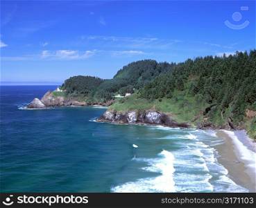 Trees on Cliffs Above Ocean With Distant Lighthouse