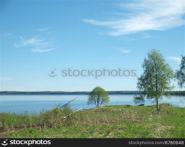 Trees on coast of lake. Karelia, Russia