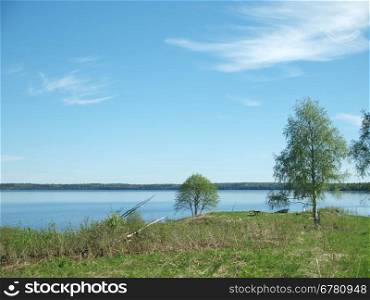 Trees on coast of lake. Karelia, Russia