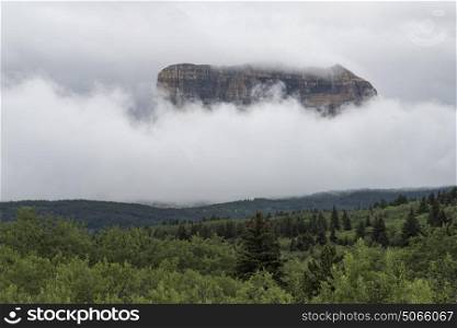 Trees on landscape with mountain range in the background, Babb, Glacier National Park, Glacier County, Montana, USA