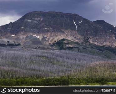 Trees on landscape with mountain range in the background, Going-to-the-Sun Road, Glacier National Park, Glacier County, Montana, USA
