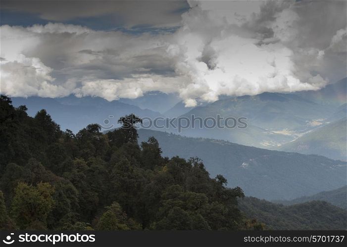 Trees on mountains, Dochula Pass, Thimphu District, Bhutan
