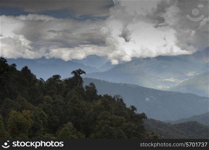 Trees on mountains, Dochula Pass, Thimphu District, Bhutan