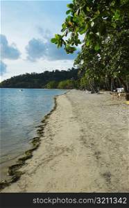 Trees on the beach, South West Bay, Providencia, Providencia y Santa Catalina, San Andres y Providencia Department, Colombia