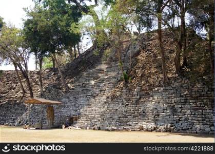 Trees on the old stone pyramid in Copan, Honduras