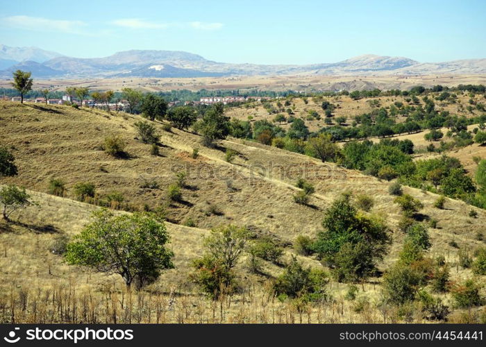 Trees on the slope of hill near Yalvac, Turkey