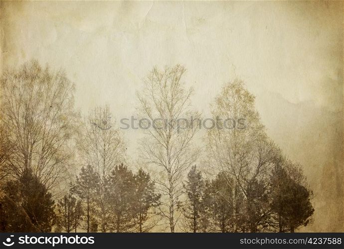 Trees on vintage paper sheet.