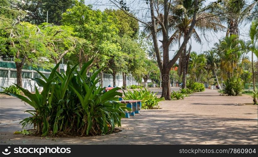 Trees planted along the streets by the shore of the Indian Ocean in Maputo, Mozambique