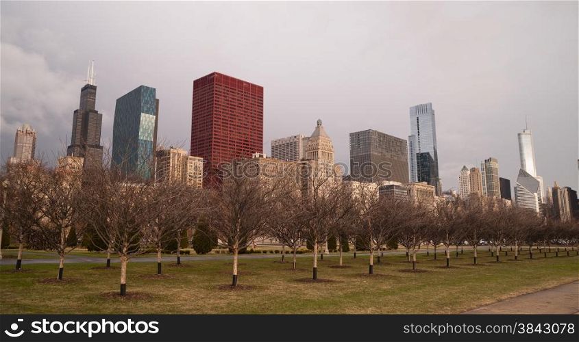 Trees planted by the city parks department will start flowering soon in Chicago