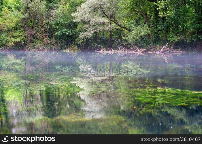 Trees reflected in a mountains river. Martin Brod, Bosnia and Herzegovina