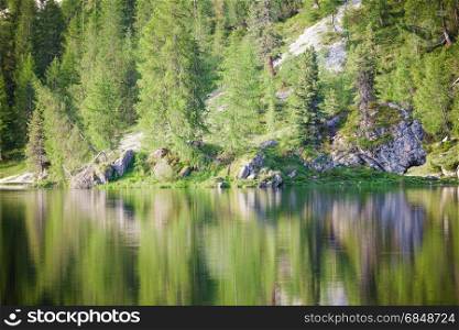 Trees reflected on Alpine mountain summer lake. Dolomites Alps, Italy