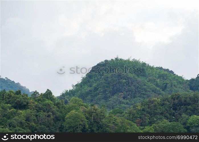 Trees that cover mountains. Cloudy in sky rain season.