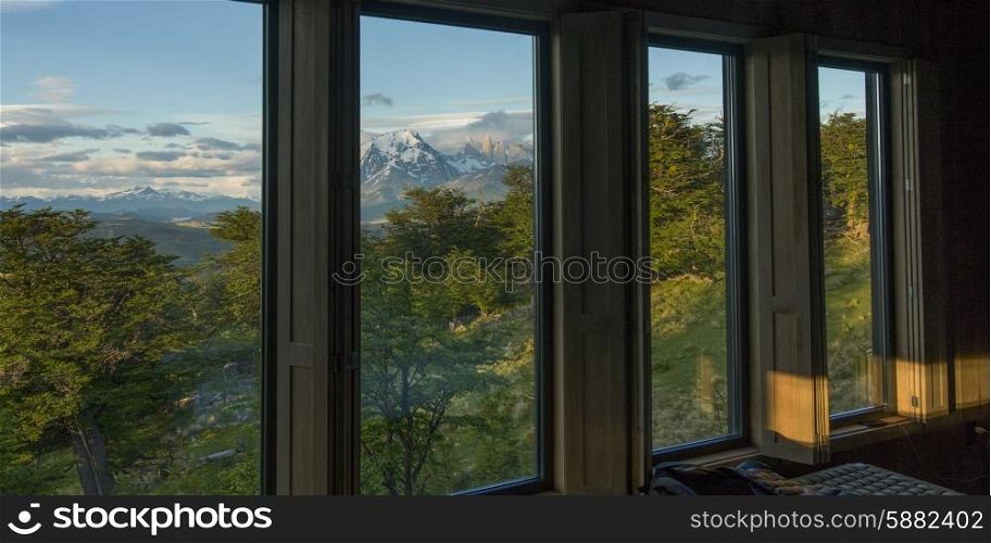 Trees viewed from Awasi Lodge, Patagonia, Chile