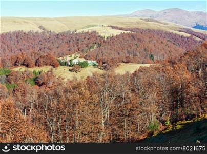 Trees with dry foliage and rural house on slope in autumn Carpathian.