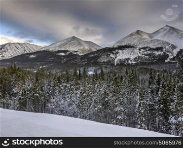 Trees with mountain in the background, Alaska Highway, Northern Rockies Regional Municipality, British Columbia, Canada