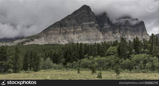 Trees with mountain in the background, Many Glacier, Glacier National Park, Glacier County, Montana, USA
