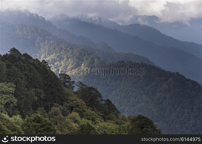 Trees with mountain range in the background, Dochula Pass, Thimphu, Bhutan