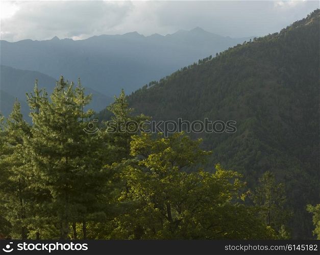 Trees with mountain range in the background, Paro, Paro District, Paro Valley, Bhutan