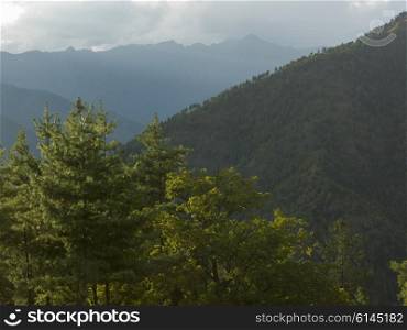 Trees with mountain range in the background, Paro, Paro District, Paro Valley, Bhutan