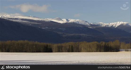 Trees with snowcapped mountain in the background, Highway 16, Yellowhead Highway, British Columbia, Canada