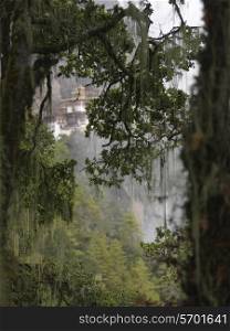 Trees with Taktsang Monastery in the background, Paro Valley, Paro District, Bhutan
