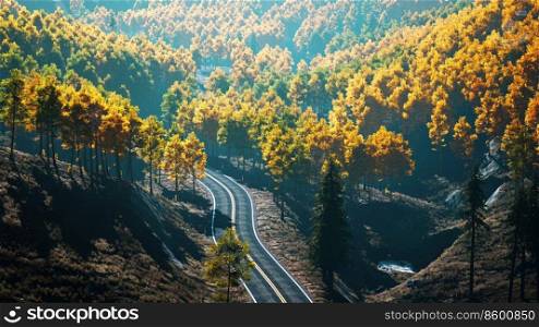 trees with yellow foliage in foggy mountains
