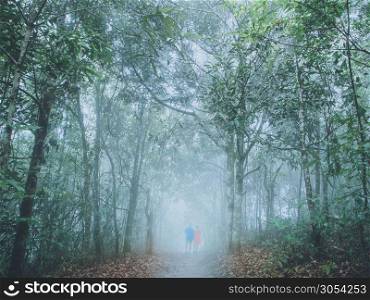 trekking and camping concept from couple in raincoat walk in foggy tropical forest.