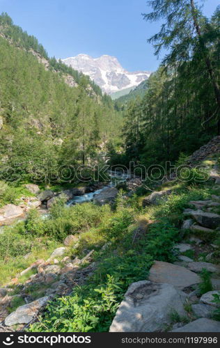 Trekking in Italian Alps mountain