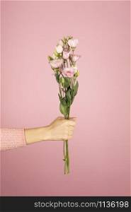 Trendy banner for Valentines Day, International Womens Day or mothers day, Beautiful bouquet of pink Eustoma in a female hand on pink background.. Beautiful bouquet of pink Eustoma in a female hand on pink background.