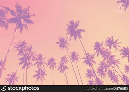 Trendy color toned palm trees on tropical beach 