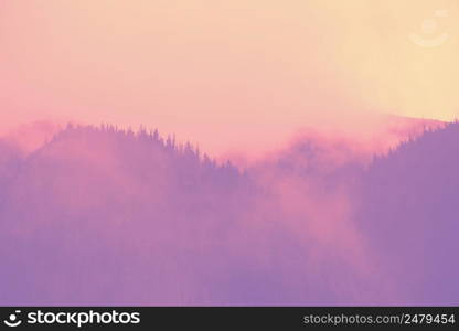 Trendy pastel colored high foggy mountain forest