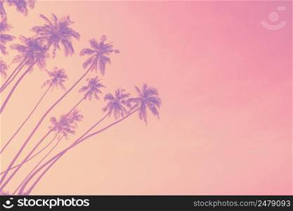 Trendy pastel toned tropical palm trees